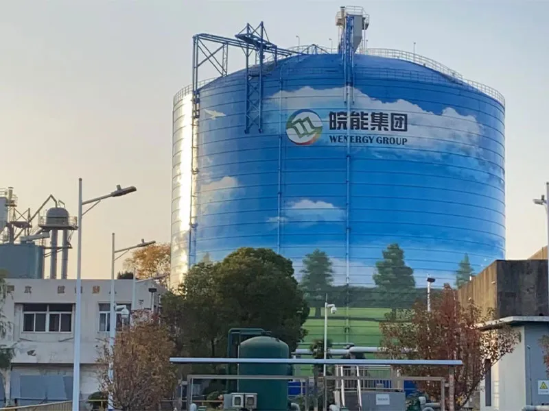 Проект EPC по реконструкции и расширению золоотвалов для ООО Ваньнэн Мааньшань Электрогенерация (2)