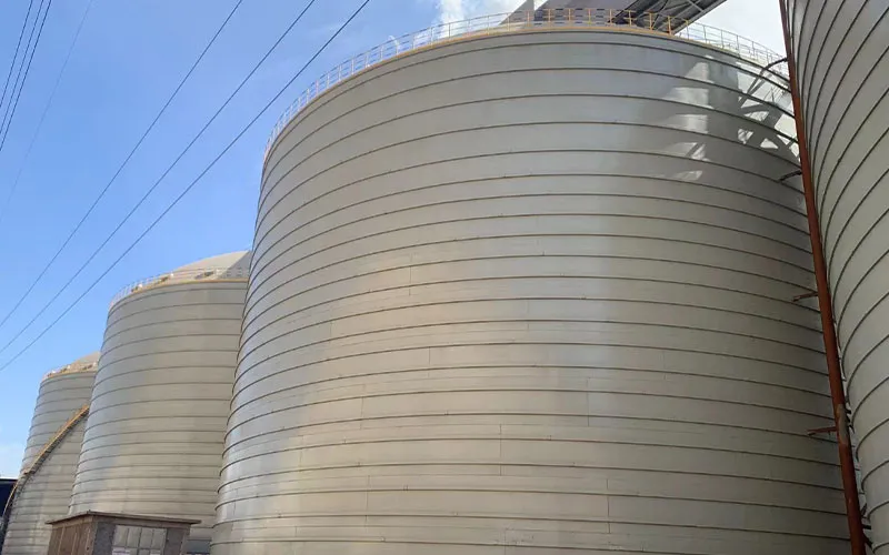 Проект хранения кокса, известняка и агломерата для ООО Фуцзянь Цинто Никелевая промышленность (2)